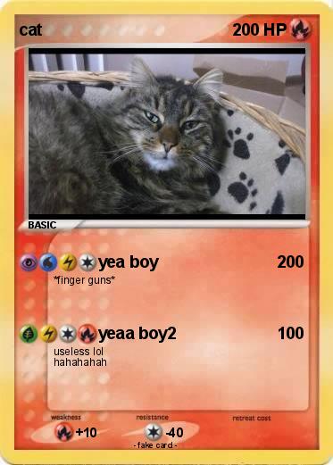 Pokemon cat