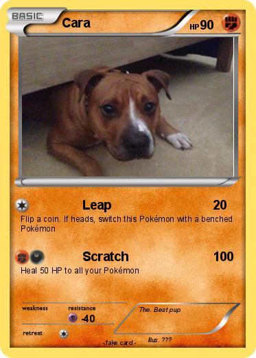 Pokemon Cara