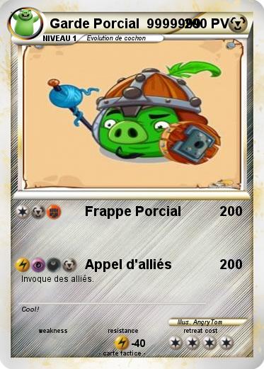 Pokemon Garde Porcial  9999999