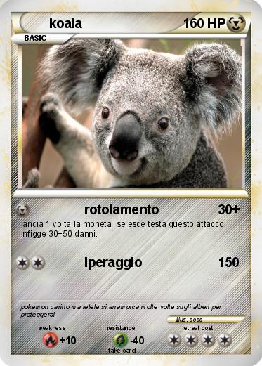 Pokemon koala