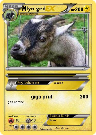 Pokemon lyn ged