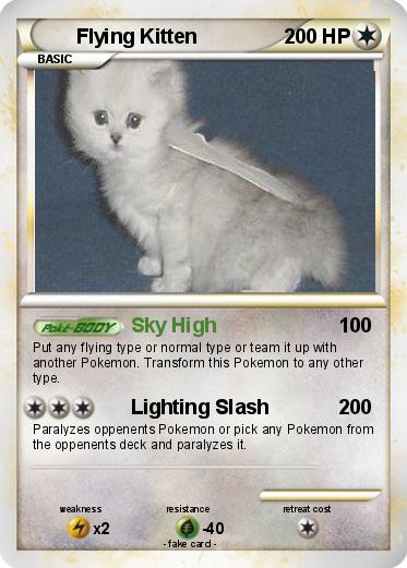 Pokemon Flying Kitten