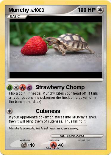 Pokemon Munchy