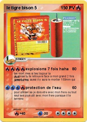 Pokemon le tigre bison 5