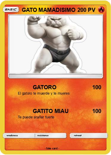 Pokemon GATO MAMADISIMO