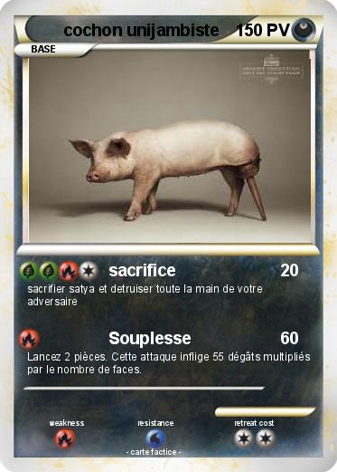 Pokemon cochon unijambiste