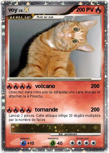 Pokemon voy