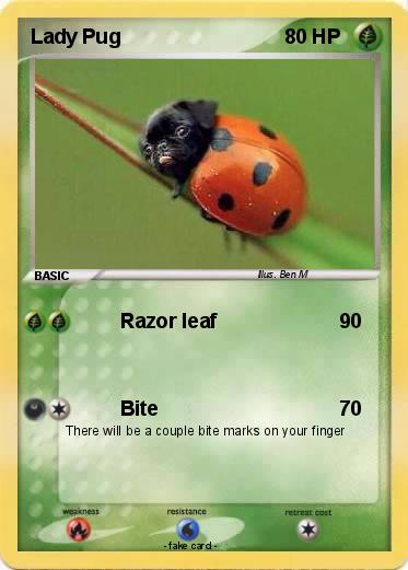 Pokemon Lady Pug