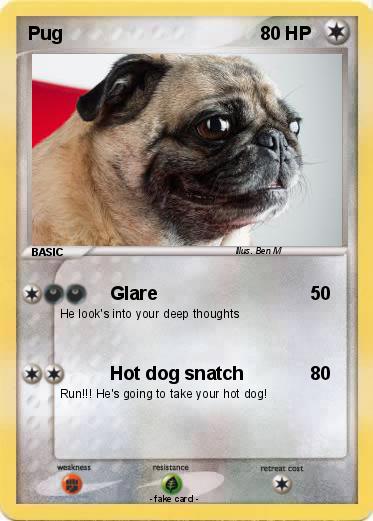 Pokemon Pug