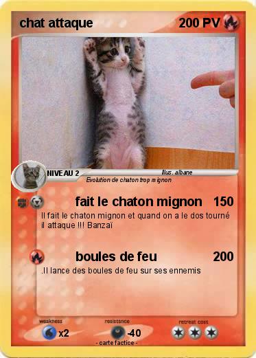 Pokemon chat attaque