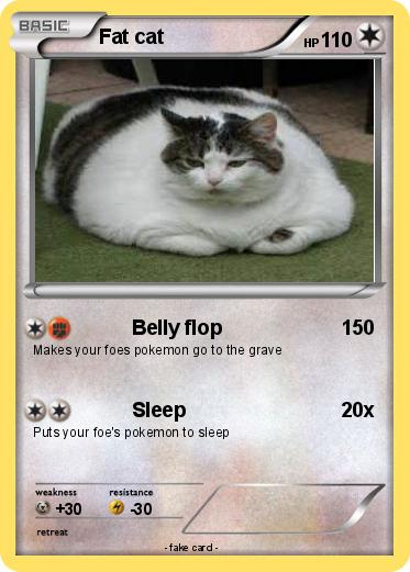 Pokemon Fat cat