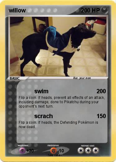 Pokemon willow