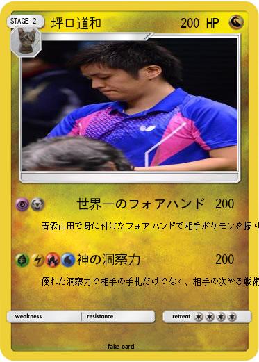 Pokemon 坪口道和