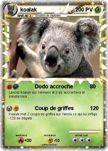 Pokemon koalak