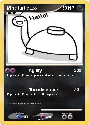Pokemon Mine turtle