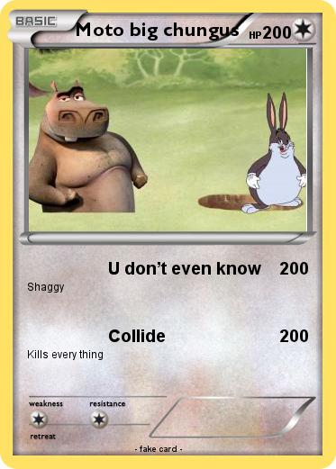 Pokemon Moto big chungus