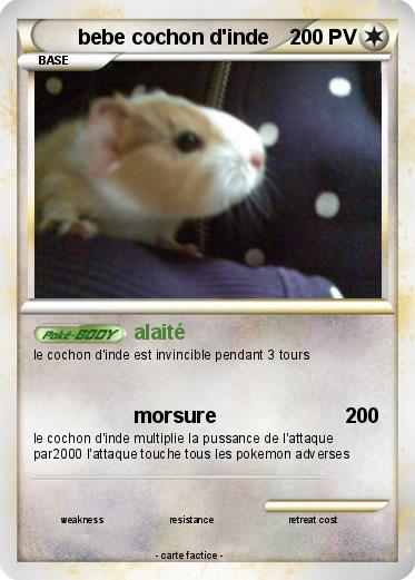 Pokemon bebe cochon d'inde