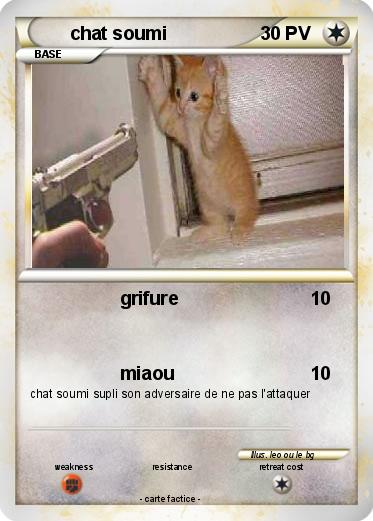 Pokemon chat soumi