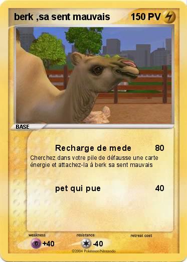Pokemon berk ,sa sent mauvais