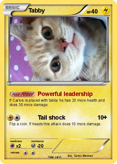Pokemon Tabby