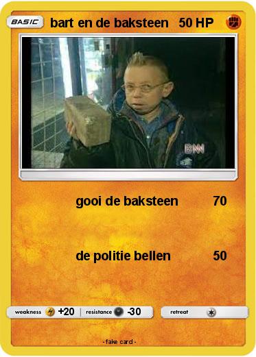Pokemon bart en de baksteen