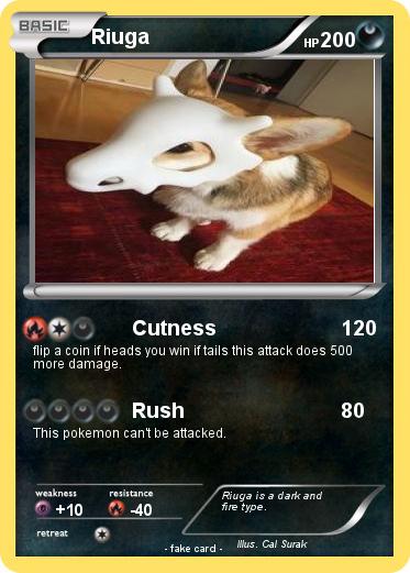 Pokemon Riuga