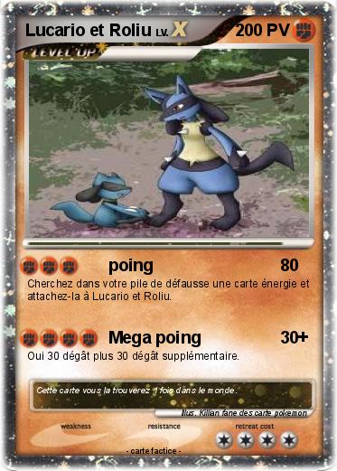 Pokemon Lucario et Roliu