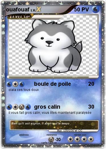 Pokemon ouafouaf