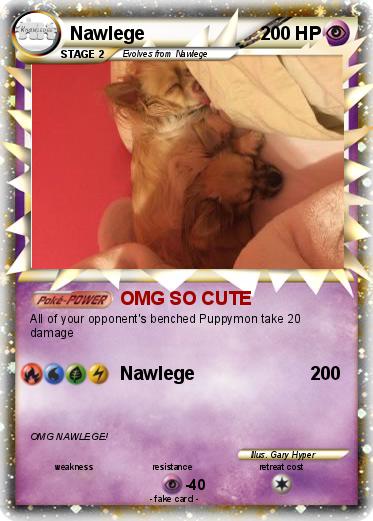 Pokemon Nawlege