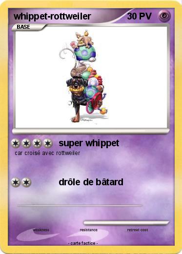 Pokemon whippet-rottweiler