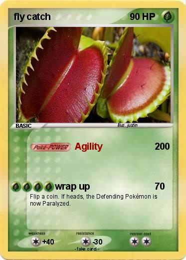 Pokemon fly catch