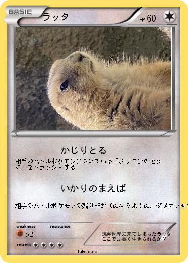 Pokemon ラッタ