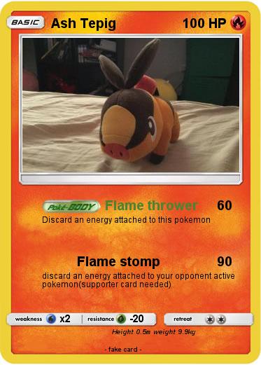 Pokemon Ash Tepig
