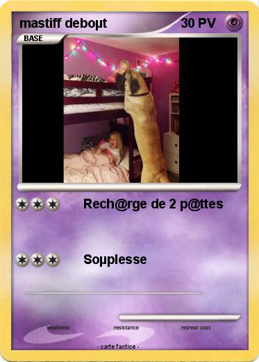 Pokemon mastiff deboµt