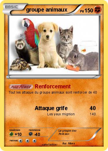 Pokemon groupe animaux