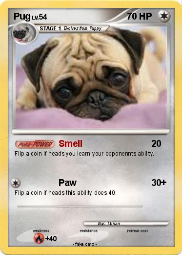Pokemon Pug