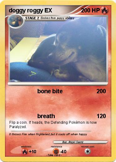 Pokemon doggy roggy EX