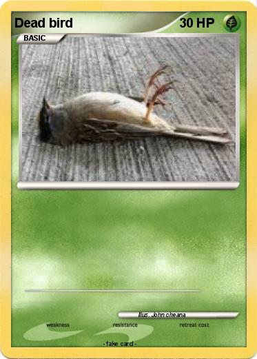 Pokemon Dead bird