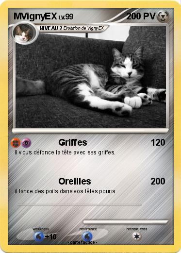 Pokemon MVignyEX