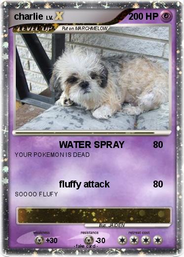 Pokemon charlie