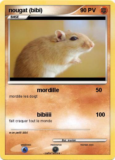 Pokemon nougat (bibi)