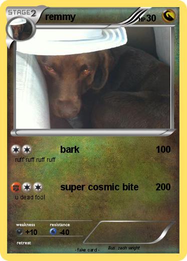 Pokemon remmy