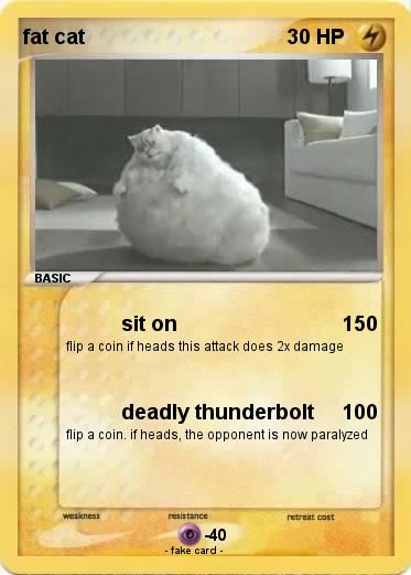 Pokemon fat cat