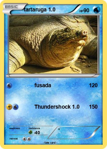 Pokemon tartaruga 1.0