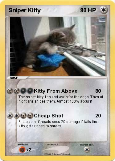 Pokemon Sniper Kitty