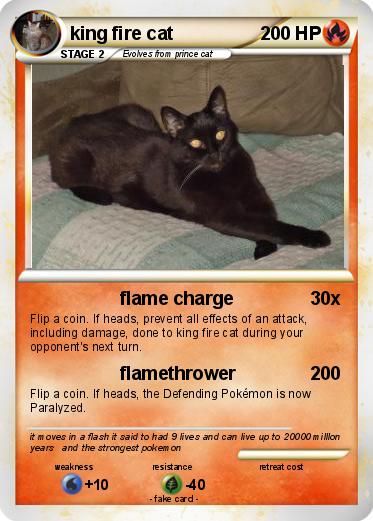 Pokemon king fire cat