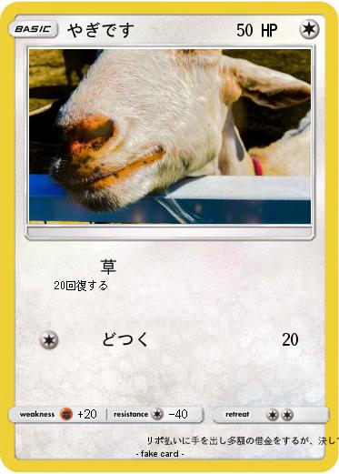 Pokemon やぎです