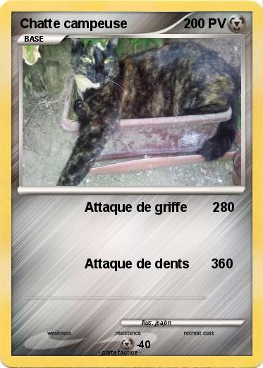 Pokemon Chatte campeuse