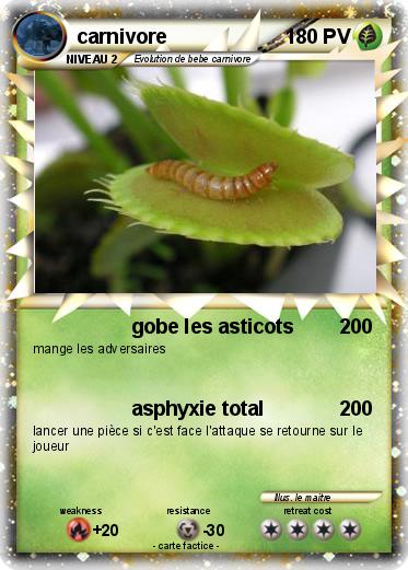Pokemon carnivore