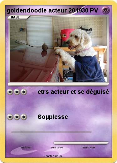 Pokemon goldendoodle acteur 2019
